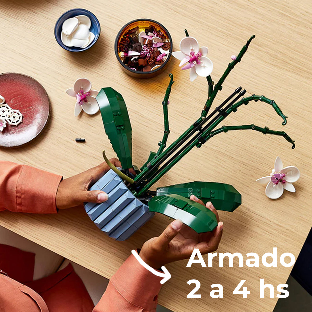 Orquídeas Infinitas para Armar