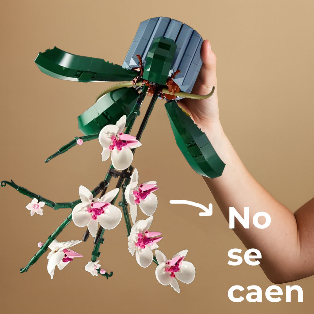 Orquídeas Infinitas para Armar